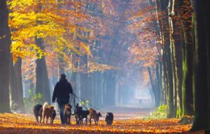 CYCLING-CITY-UTRECHT-NETHERLANDS-LIVING-MAGAZINE-7