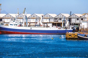 South-Africa-Cape-Town-Living-Magazine-5